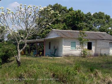 2004 Cuba, Maria la Gorda - Cayo Levisa, DSC00624 B_B720